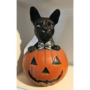 Halloween Frenchie French Bulldog in Pumpkin Eyes Light Up Statue Decor